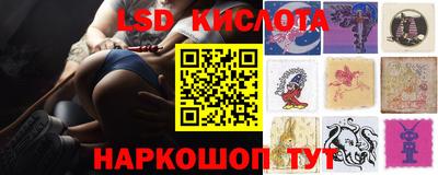 мдпв Донской