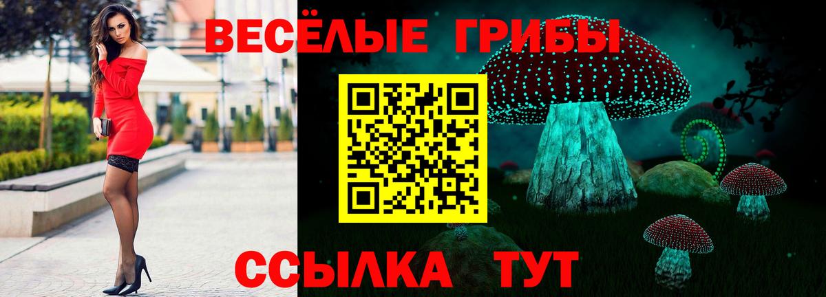 Псилоцибиновые грибы Psilocybine cubensis  Вход с VPN  Михайловск  Галлюциногенные грибы ЛСД 