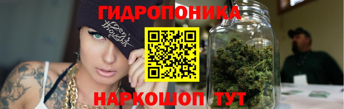 Бошки марихуана конопля Михайловск